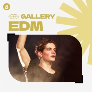 EDM Gallery